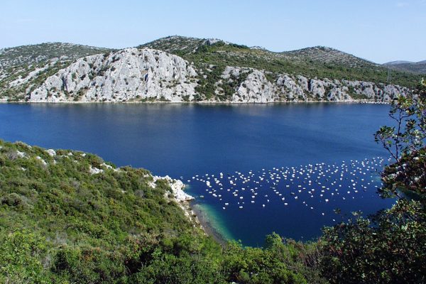 Zaton - photo 9