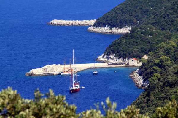 Lučica - photo 10