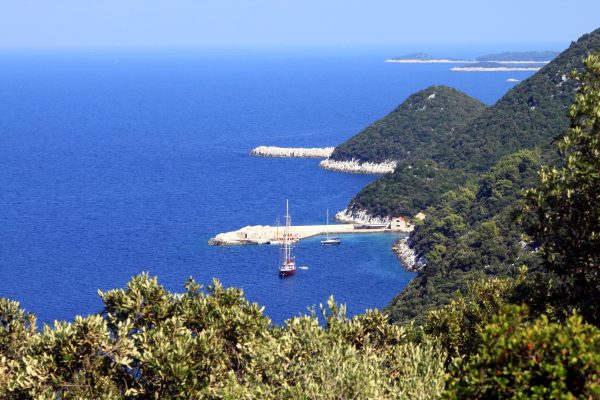 Lučica - photo 2