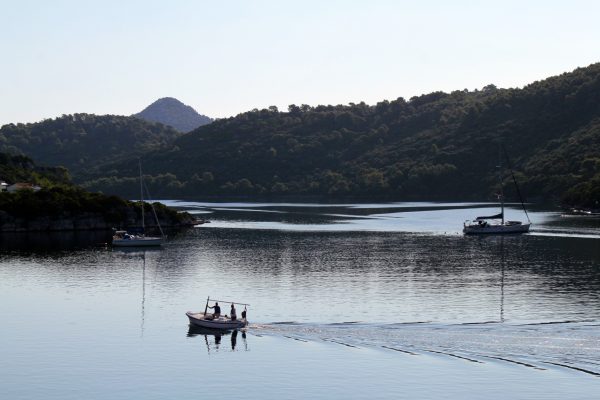 Pasadur - photo 22