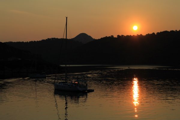 Pasadur - photo 23