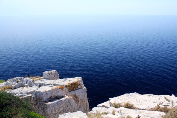 Skrivena Luka - photo 14