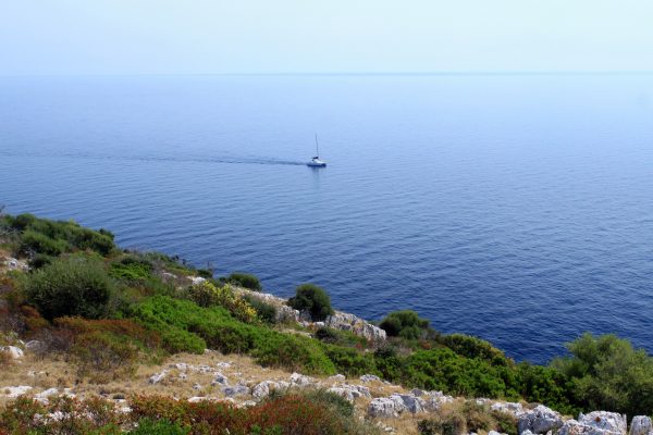 Skrivena Luka - photo 18