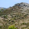 Skrivena Luka - photo 21