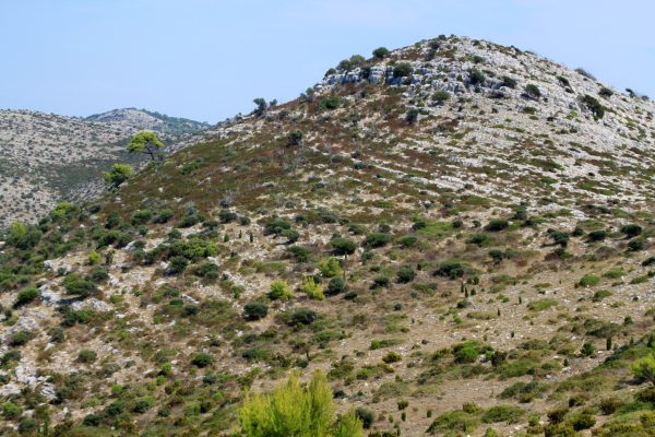Skrivena Luka - photo 21