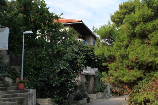 Ubli - photo 10