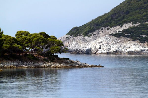 Ubli - photo 18