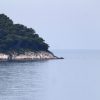 Ubli - photo 19