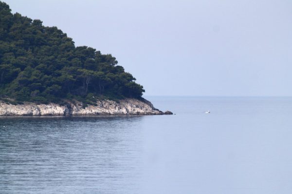 Ubli - photo 19