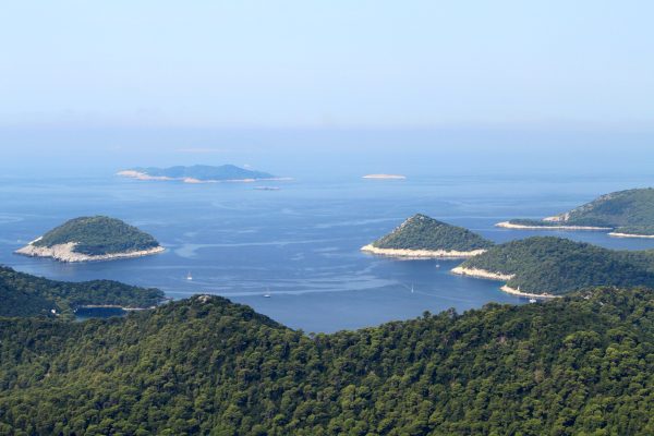 Ubli - photo 2