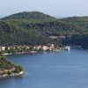 Ubli - photo 4