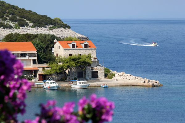 Zaklopatica - photo 8