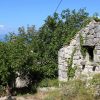 Gornji Tučepi – Podpeć - photo 1