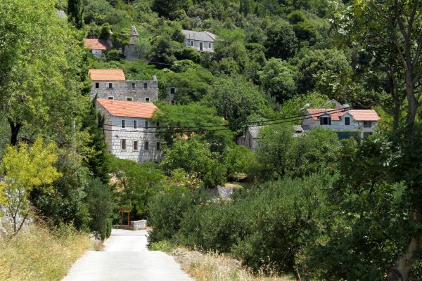 Kotišina - photo 3