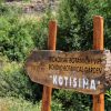 Kotišina - photo 4