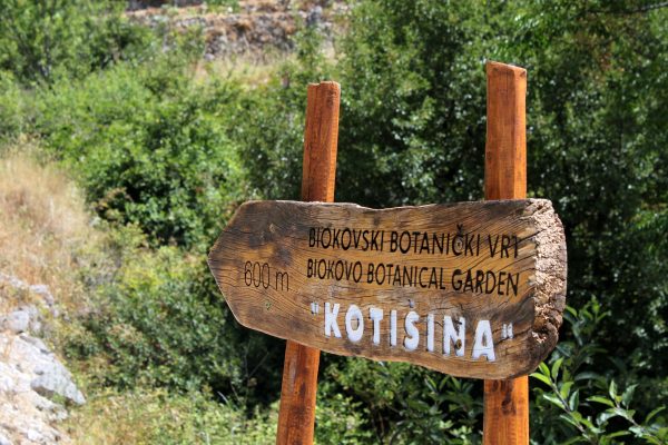 Kotišina - photo 4