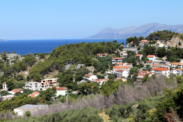 Krvavica