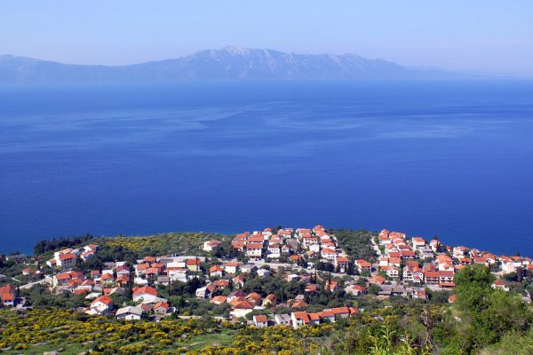 Podaca