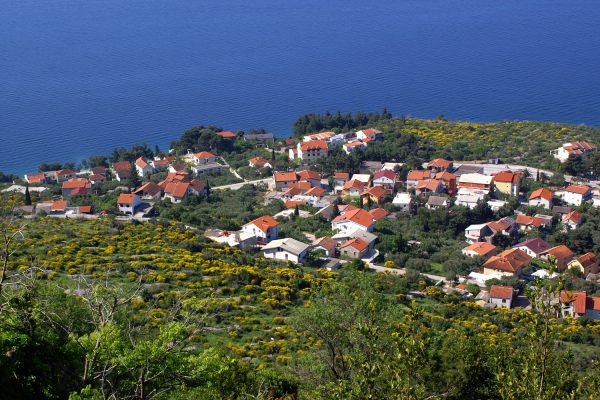 Podaca - photo 2