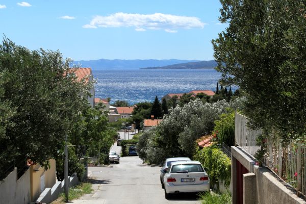 Promajna - photo 12