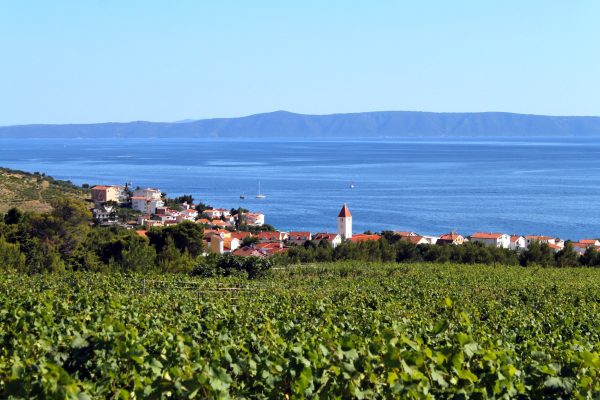 Promajna - photo 4