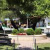 Promajna - photo 8