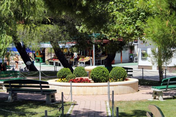 Promajna - photo 8