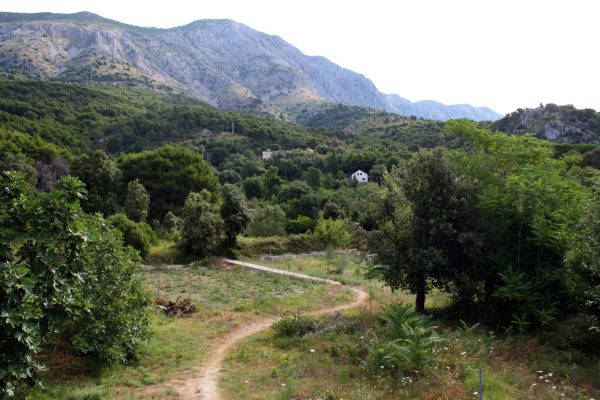 Živogošće – Mala Duba - photo 4