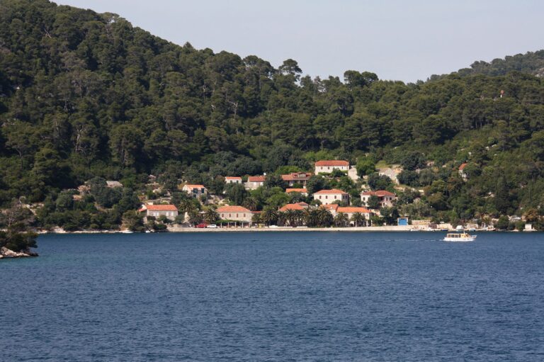 Babine Kuće