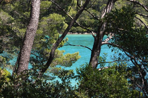 Babine Kuće - photo 10