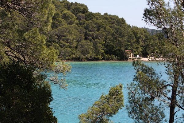 Babine Kuće - photo 9