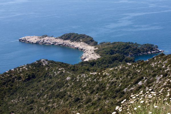 Blaca - photo 4