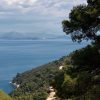 Blaca - photo 6