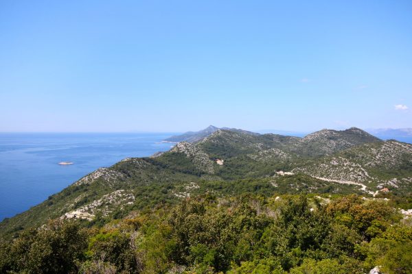 Korita