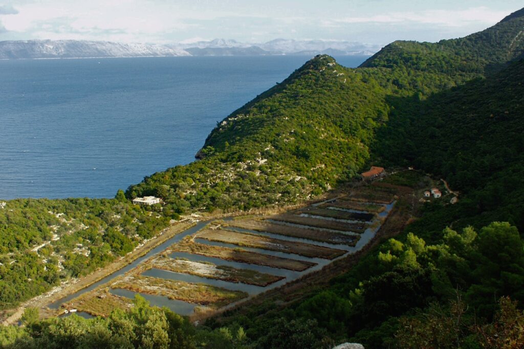 Dalmatia Mljet Kozarica Croatia