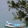 Polače - photo 17