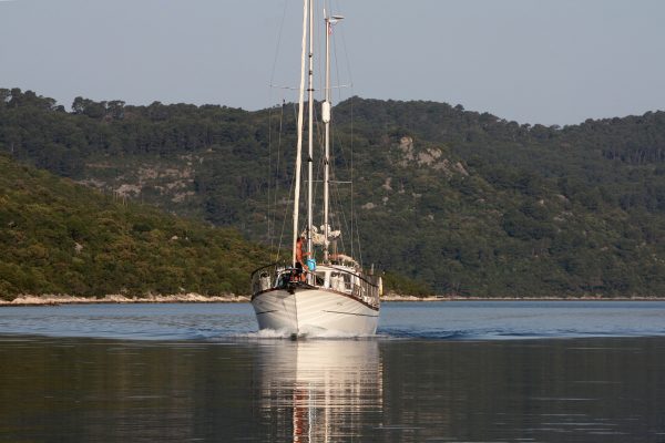 Polače - photo 19