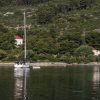 Polače - photo 20