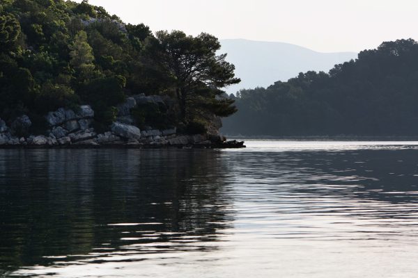 Polače - photo 22
