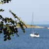 Pomena - photo 21
