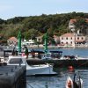 Pomena - photo 5