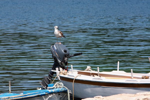 Pomena - photo 9