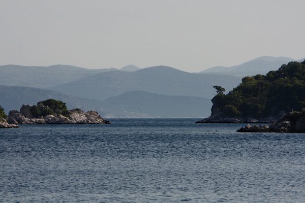 Prožurska Luka - photo 16