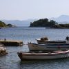 Prožurska Luka - photo 17