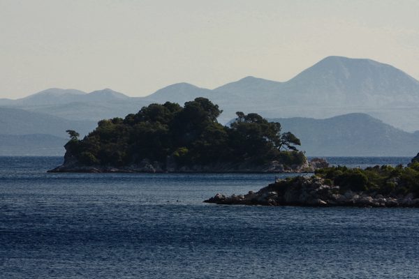 Prožurska Luka - photo 8