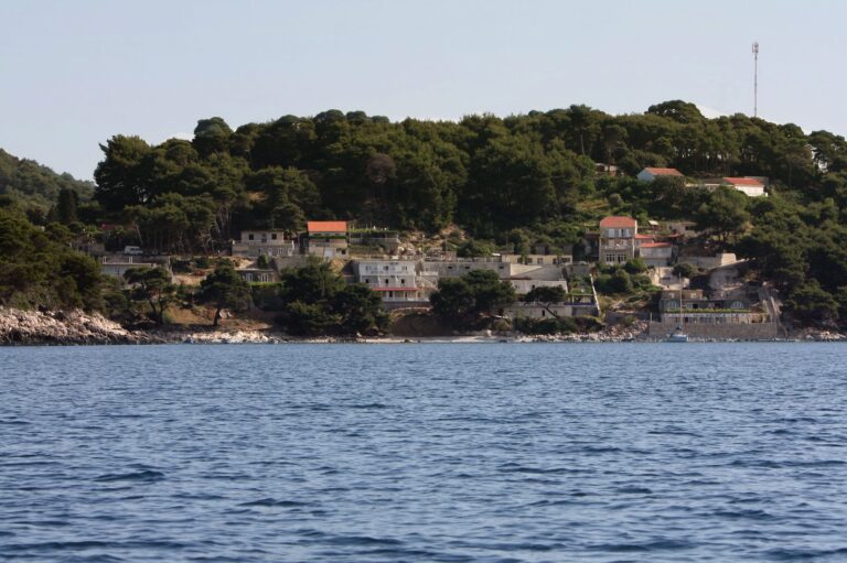 Saplunara