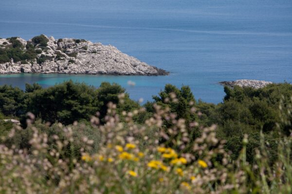Saplunara - photo 12
