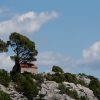 Saplunara - photo 8