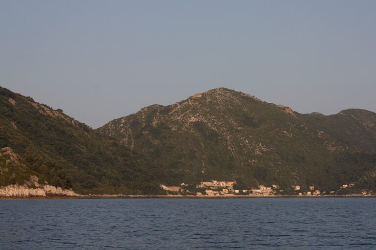 Sobra