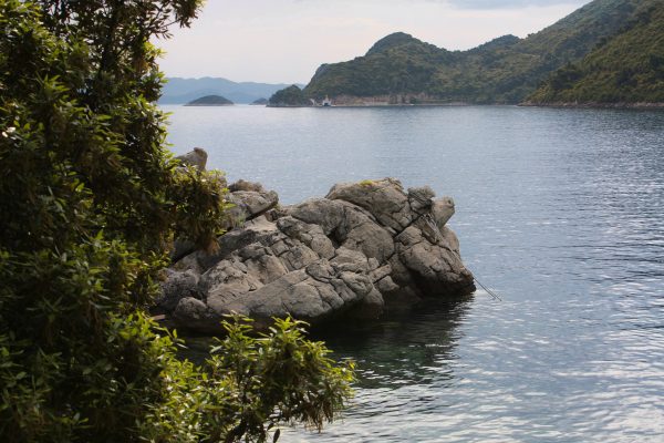 Sobra - photo 5